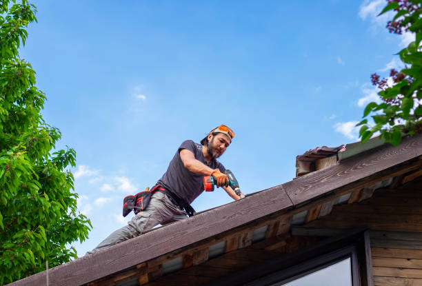 Best Tile Roofing Installation  in Mcewen, TN
