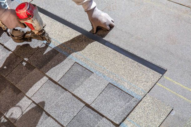 Professional Roofing services in Mcewen, TN